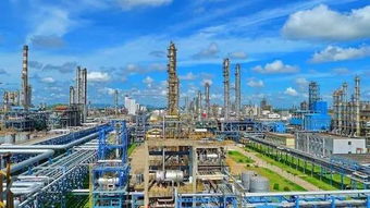 行业动态 5月 国际油价震荡上行 化工毛利空间缩窄