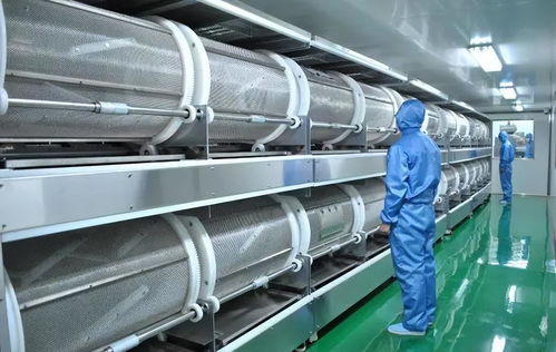 德国一化工厂爆炸,全球维生素价格为何暴涨4倍