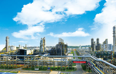 中科炼化项目正式开工，推动化工产业高质量发展