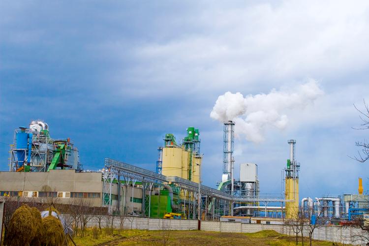 林产化工 探寻森林资源的化学密码与绿色未来