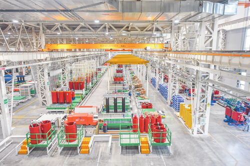 海口 向绿而生 向美而行 绿色低碳绘就椰城新画卷