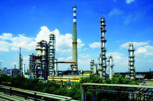 污水池里鱼儿活蹦跳？化工废水治理的真相与挑战